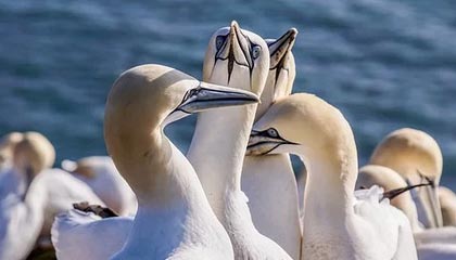 Milansports：在米兰的体育热潮与生活美学